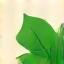 Icon eco friendly